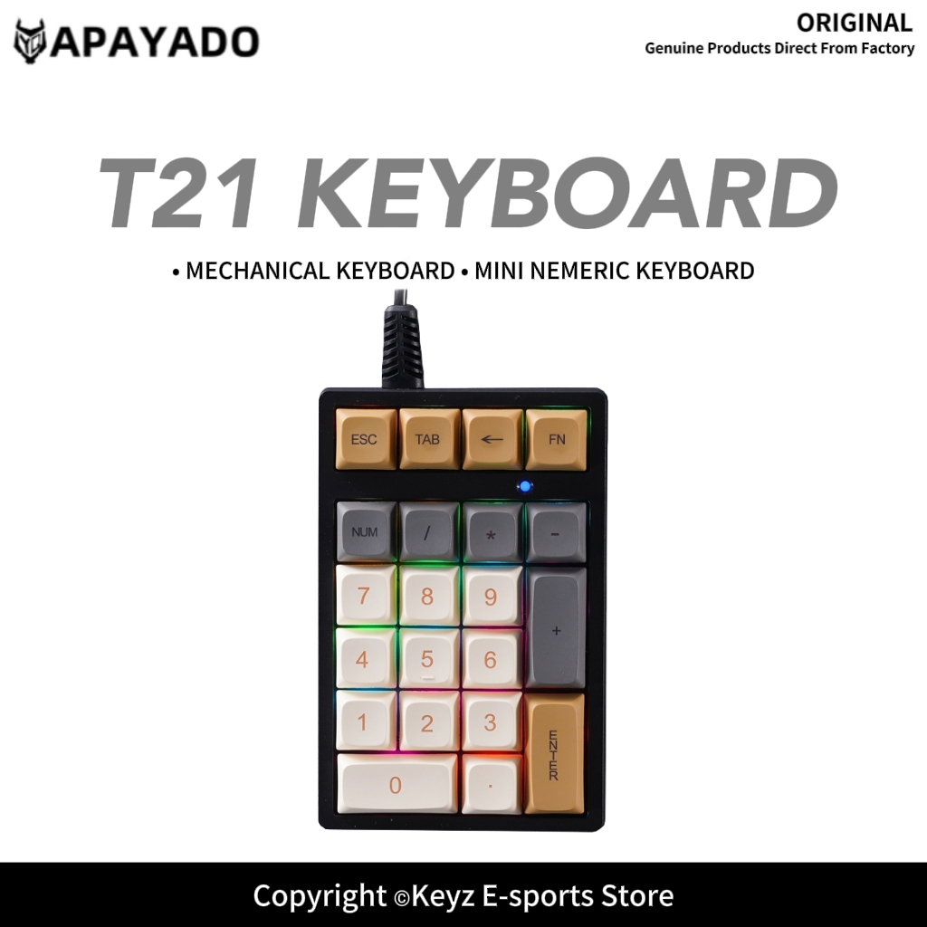 T21 미니 숫자 키패드 RGB 백라이트 블루 스위치  - Keyboard Gaming Blue Switch 리뷰 및 가격